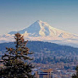 Meet your Posher, Alexa